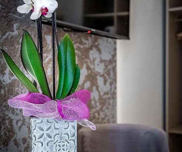 アパートホテル Residenza Giotto 4*